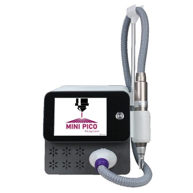 Pico Mini tattoo removal